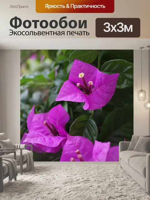 Фотообои Бугенвиллия