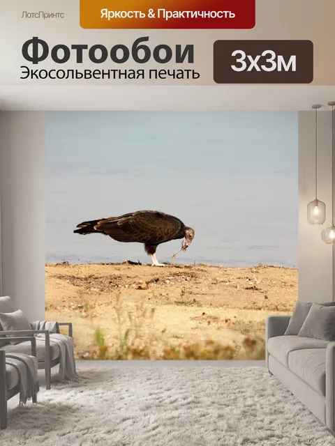 Фотообои Турция Стервятник Рестораны на пляже
