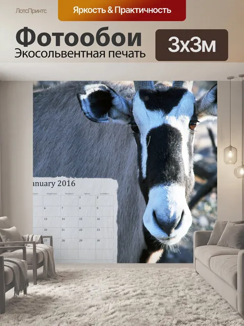 Фотообои Январь 2016 Календарь на Oryx
