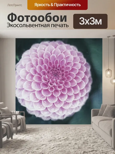 Фотообои Цветок георгин розовый