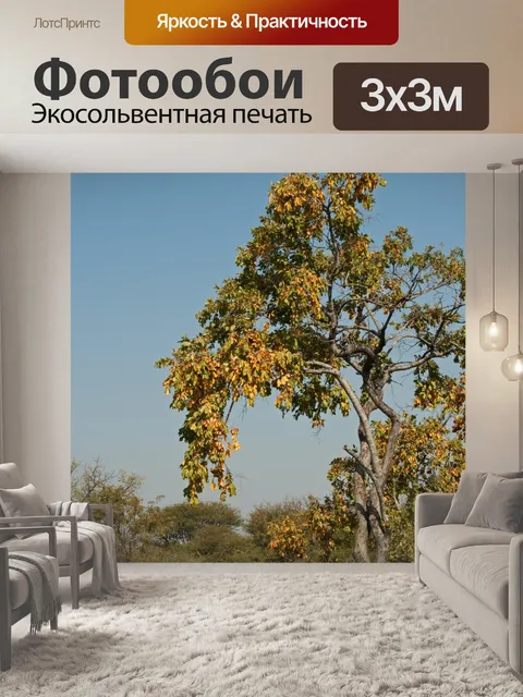 Фотообои высокое дерево с желтыми листьями