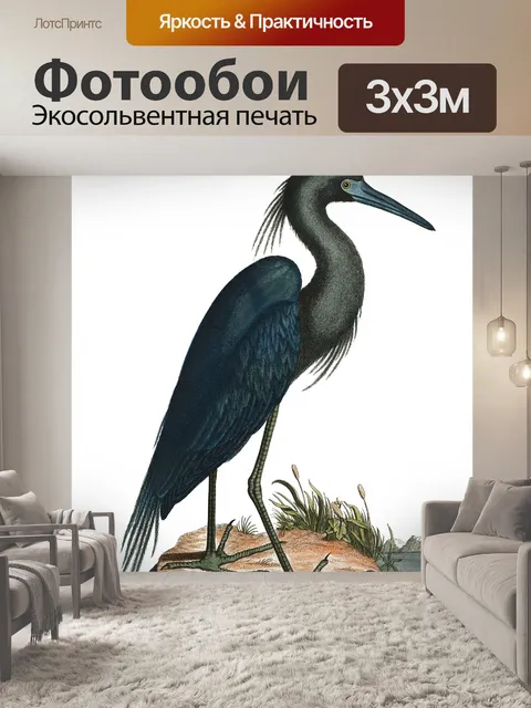 Фотообои Цапля старинные картинки