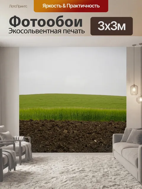 Фотообои Зеленое поле