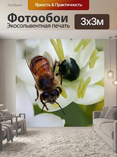 Фотообои нежная деталь на крыльях пчелы