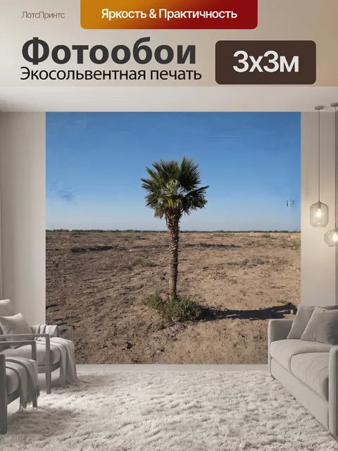 Фотообои пальма в индустриальном пейзаже