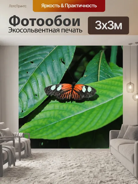Фотообои Бабочка