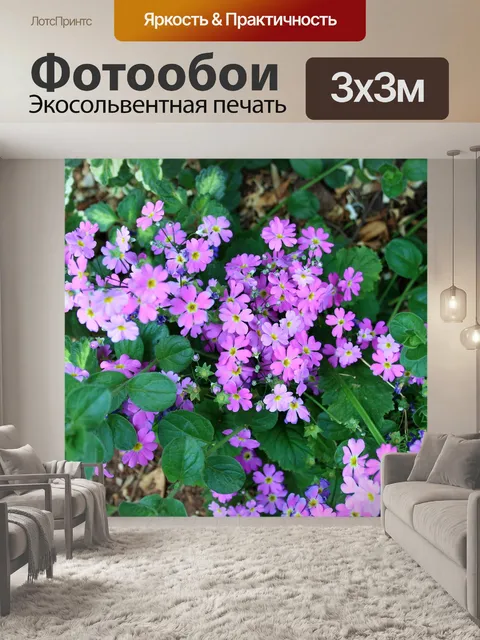 Фотообои яркие фиолетовые цветы