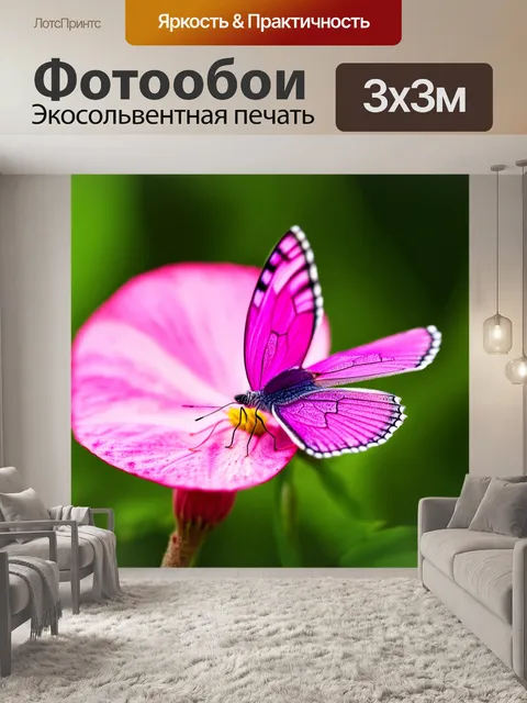 Фотообои розовая бабочка, сидящая на лепестке цветка