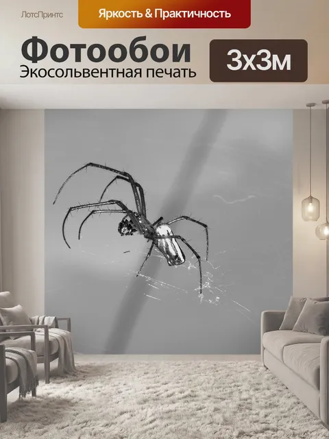 Фотообои Макрос