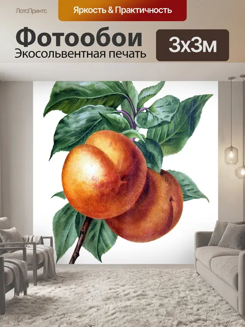 Фотообои Фруктовый персик винтаж старый