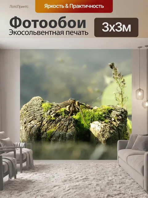 Фотообои Паук