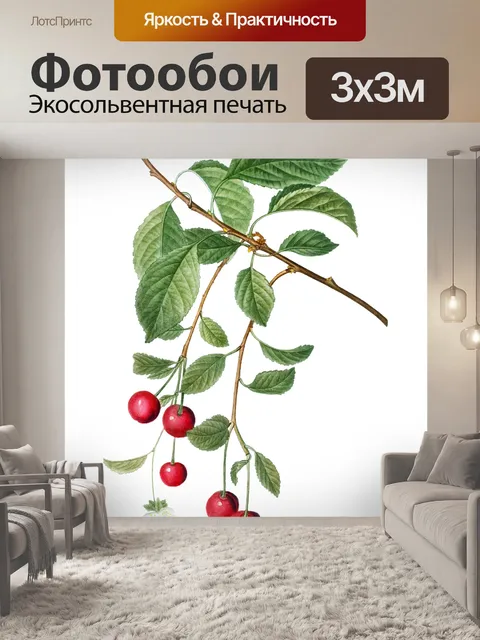Фотообои Фрукты Вишни Винтаж Клипарт
