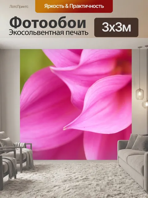 Фотообои Лепестки георгина 1