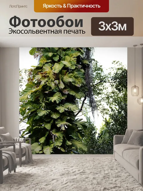 Фотообои Монстера