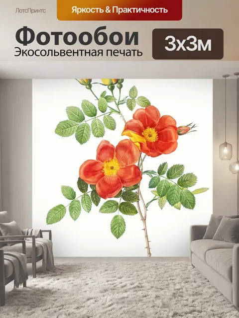 Фотообои Шиповник нарисовал искусство