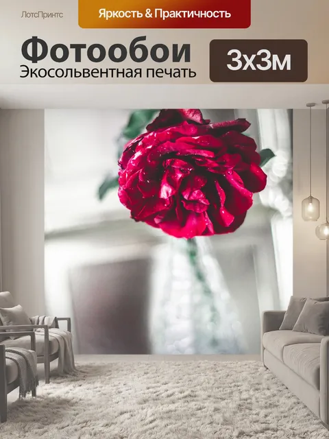 Фотообои Роуз