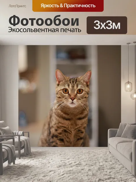 Фотообои Красивенький котик