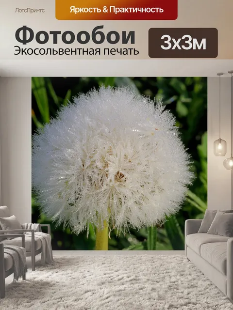 Фотообои Одуванчик