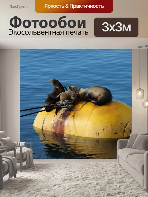 Фотообои Вода