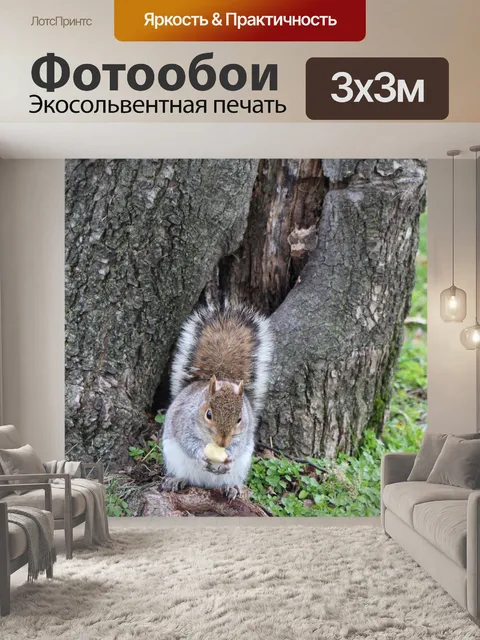 Фотообои Белка