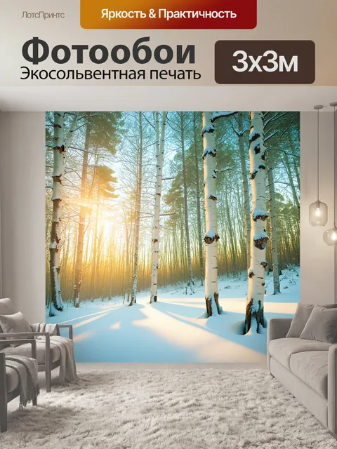 Фотообои зимний лес, покрытый снегом, где березы стоят в строгом порядке, а солнечные лучи пробиваются сквозь ветви