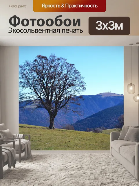 Фотообои Черный лес