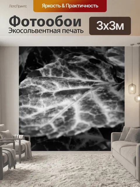 Фотообои Жилок листа крупным планом