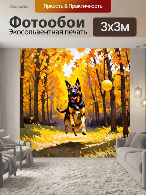 Фотообои осенний лес, усеянный золотыми листьями, где немецкая овчарка прыжком ловит желтый мяч