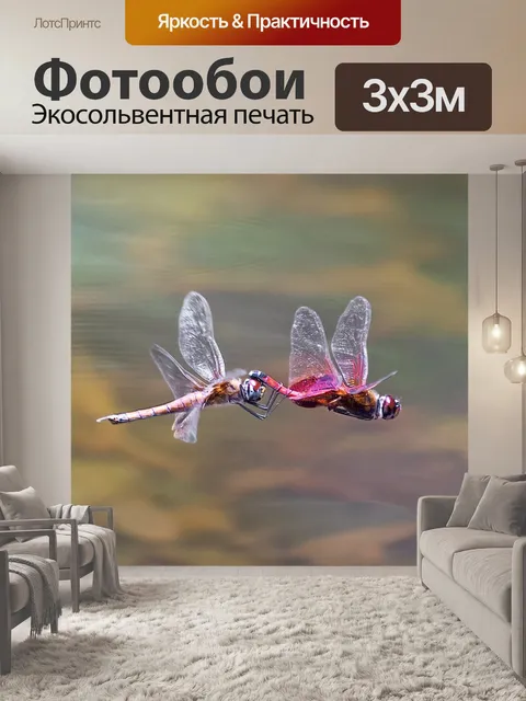 Фотообои Стрекоза