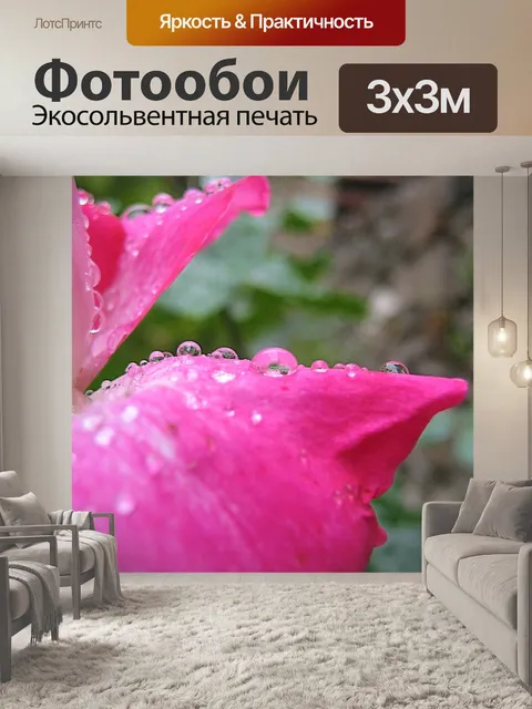 Фотообои Розовый