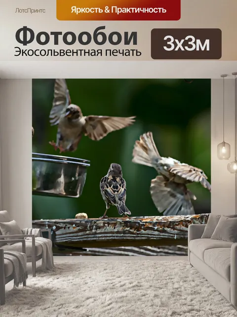 Фотообои Кормление воробьев