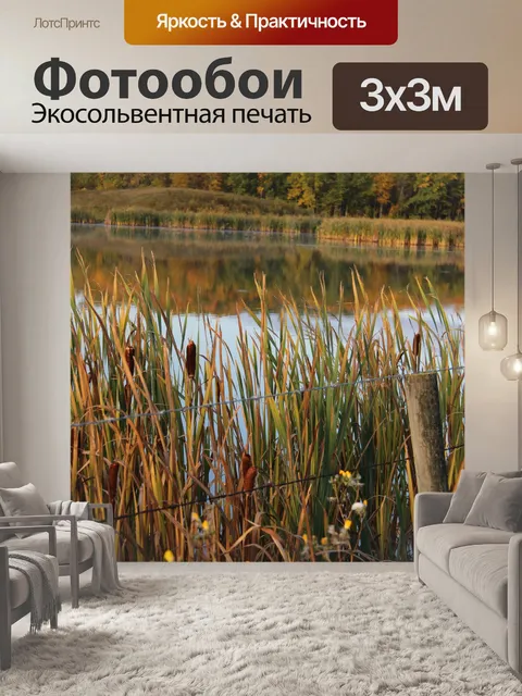 Фотообои Озеро с Рогозом осенью