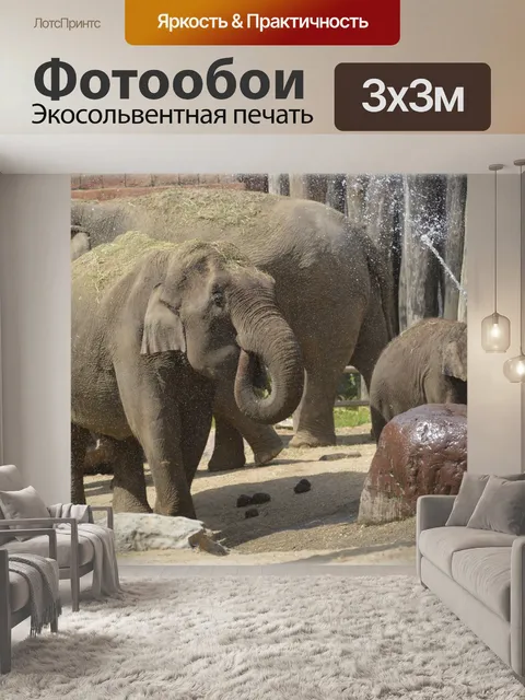 Фотообои Слоны играют 3