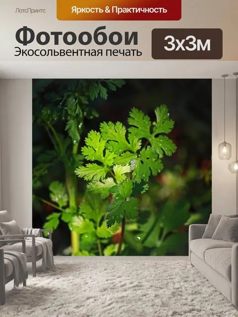 Фотообои ярко-зеленые листья петрушки