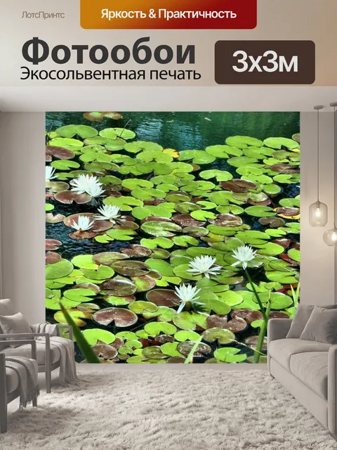 Фотообои Белые кувшинки