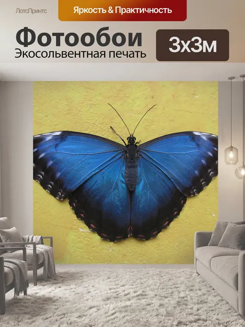 Фотообои Бабочка