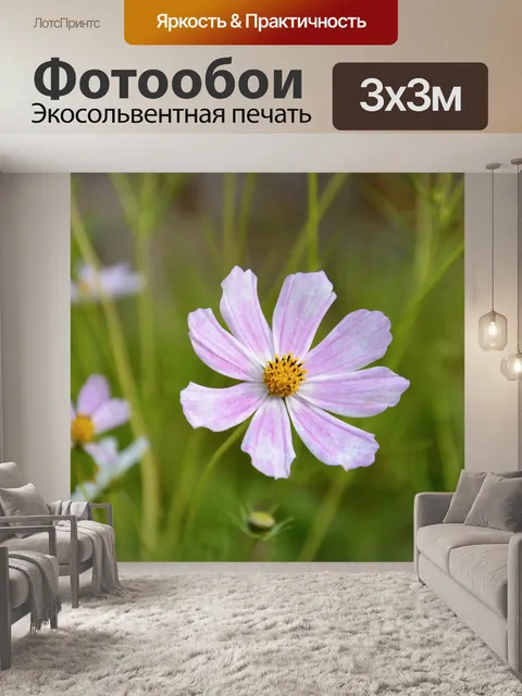 Фотообои Красивый цветок в саду