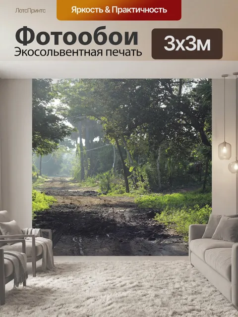 Фотообои Лес