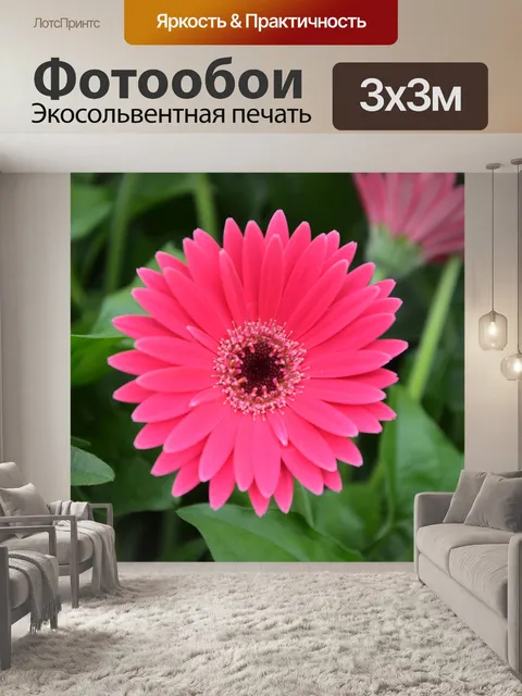 Фотообои Цветы