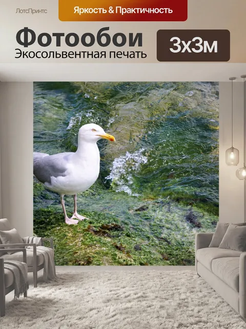 Фотообои Чайки и волны