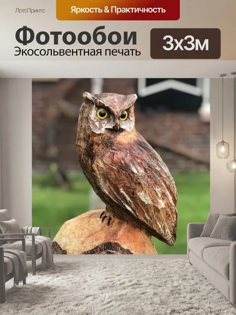Фотообои Сова