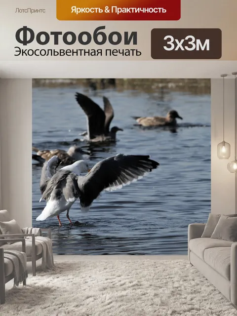 Фотообои Прогулки по воде