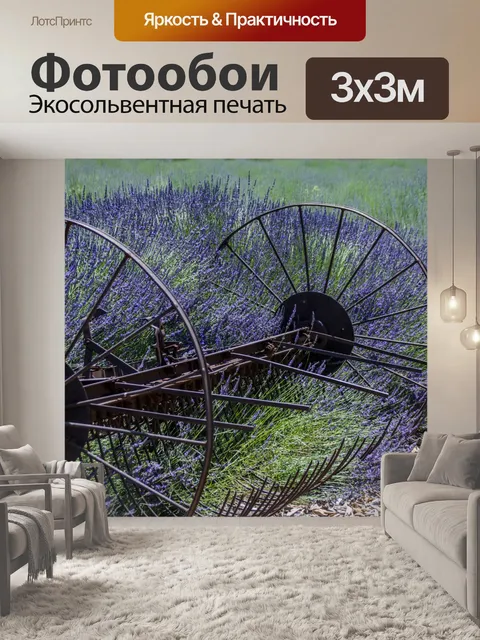 Фотообои французская лаванда