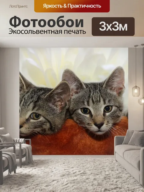 Фотообои Кот