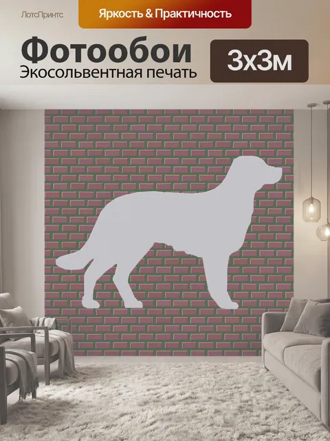 Фотообои облупившейся штукатуркой собаку