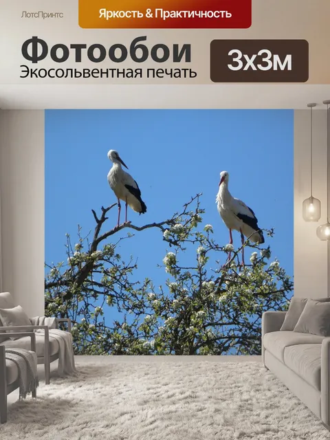 Фотообои Аист