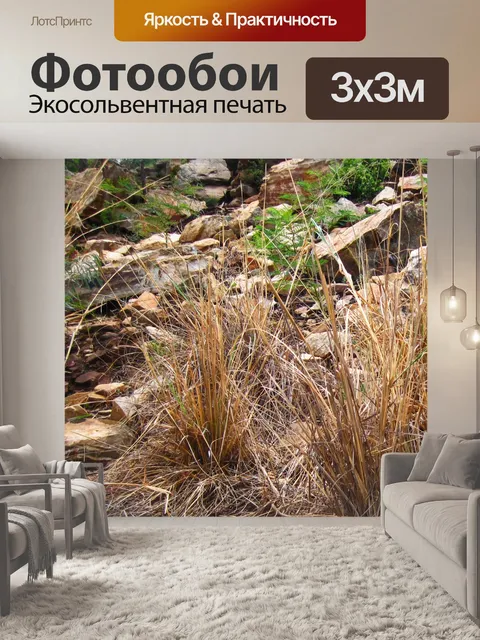 Фотообои камни и пучки травы на склоне