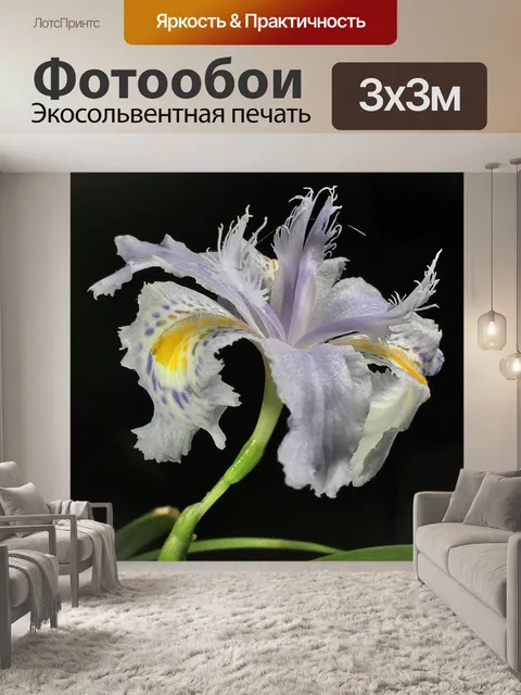 Фотообои Цветок небесной