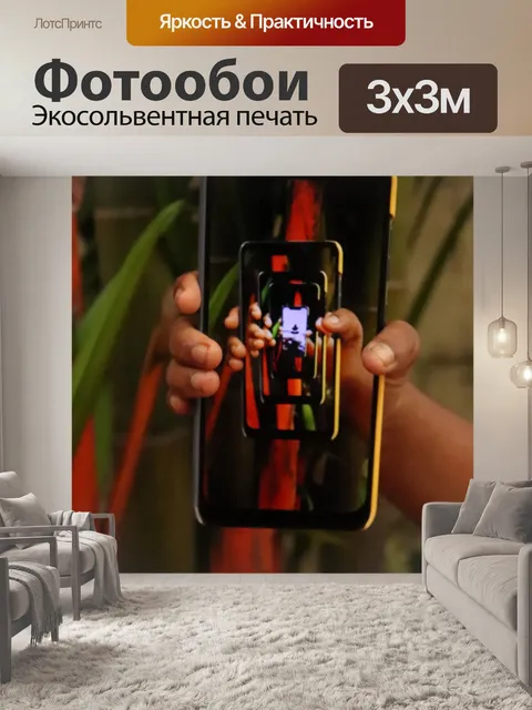 Фотообои Фото дня