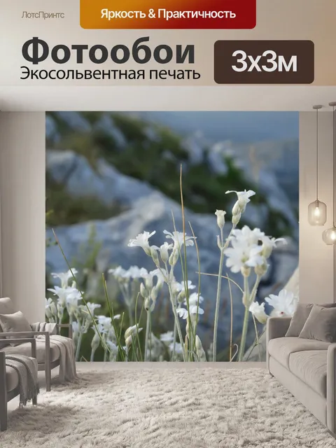 Фотообои Белый